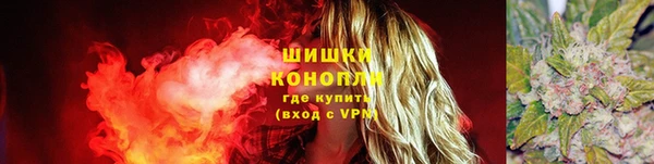 твердый Богородск