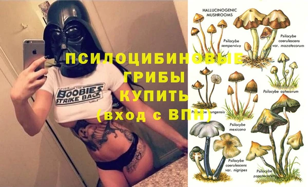 кристаллы Богданович