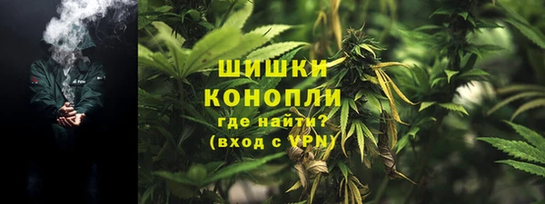 соль ск Богородицк